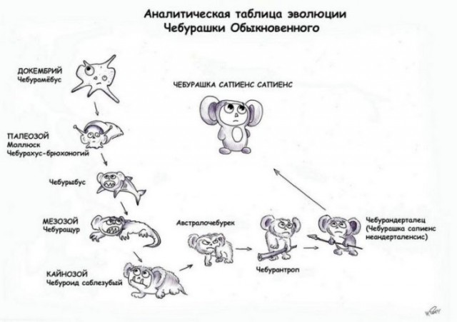 А вы тоже видите чебурашку?