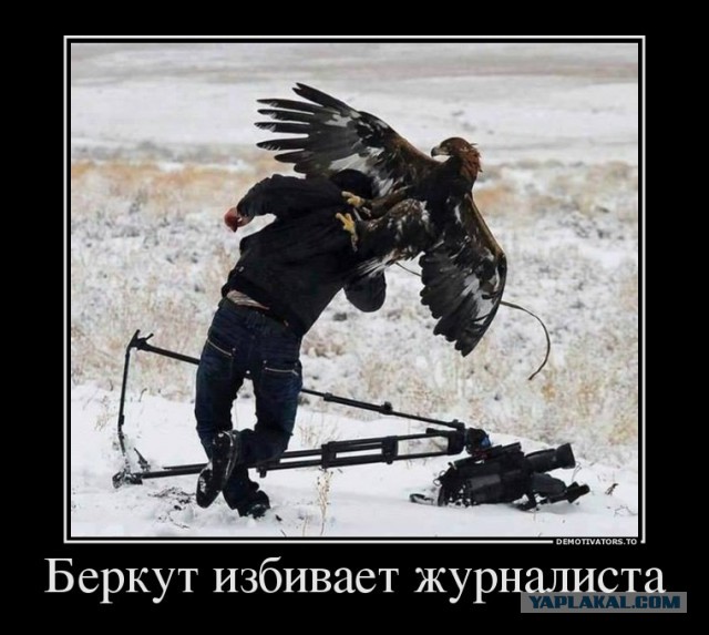 Евромайдан -хорошо сказала!