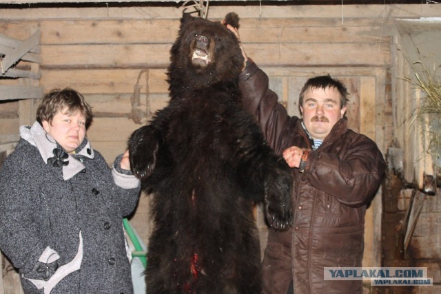 Консервы
