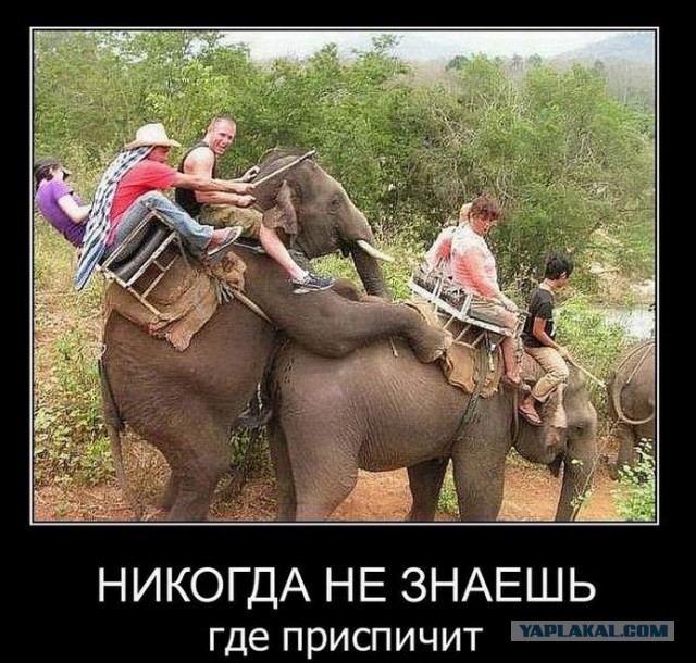 Демотиваторы.