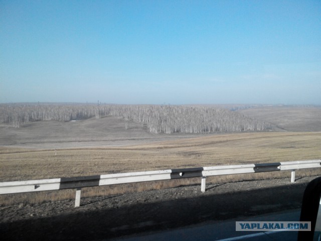 Странствия желтой скамейки)