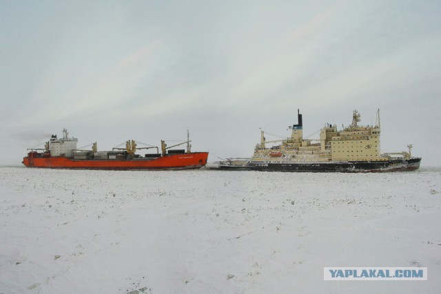 Северный морской путь
