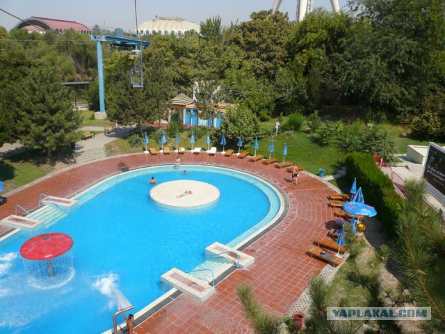Ташкент в лицах