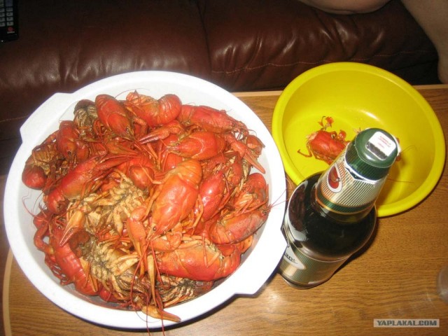 Утро "Тяпницы"