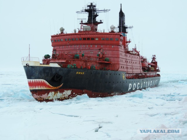 Вернулся с Северного полюса