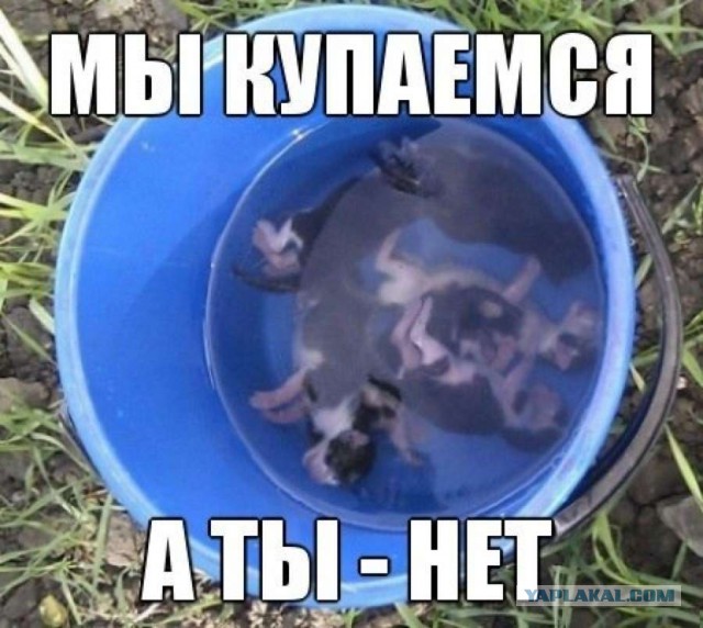Нашли на озере мешок