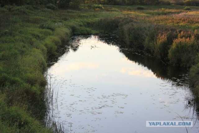 Село Борисоглебское
