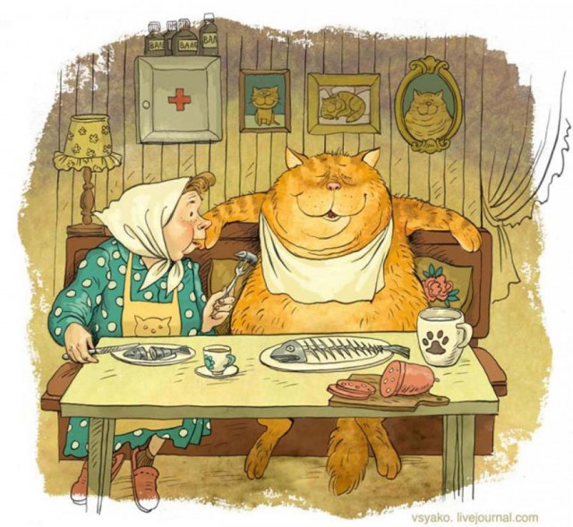30 летний кот СУТ