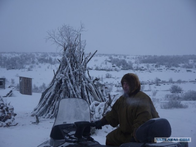 Один день в гостях у оленеводов.