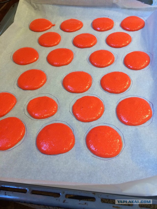 The Macarons