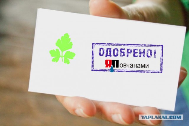5 особенностей ЯПа в логотипах