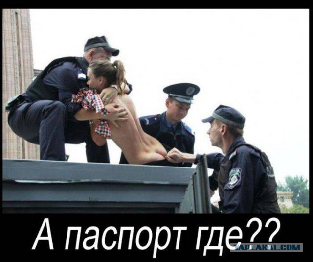 41 веселая картинка