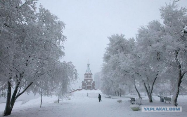 Русская зима 2012