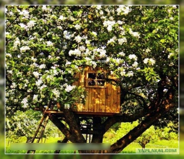 А какое было ваше детство?