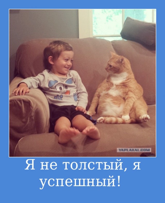 Брошенный кот, ставший лучшим другом