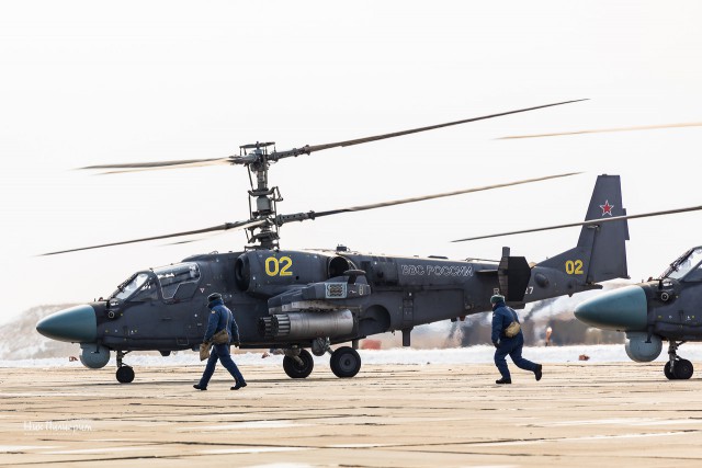 "Аллигаторы" работают с подскока