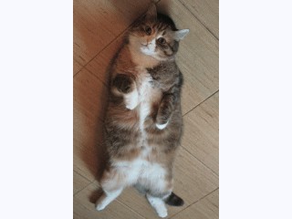 Те, которым мы помогли.