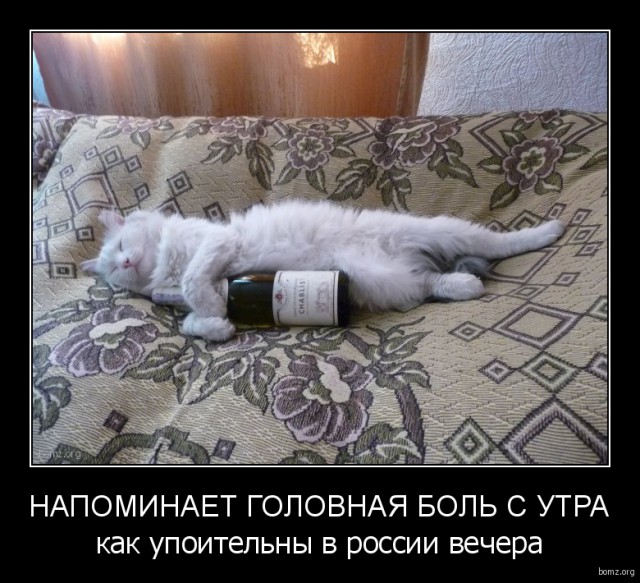 Картинки для поднятия настроения - 4