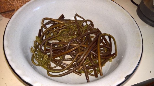 Кальмар+папоротник=вкусно