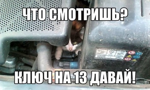 Автоюмор