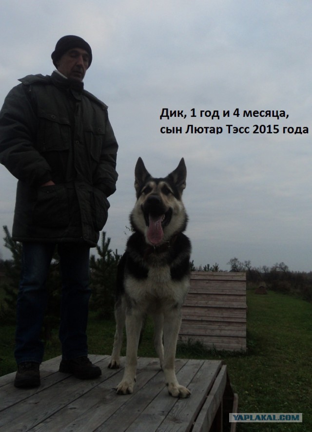 Сыночек к мамане в гости приезжал)))