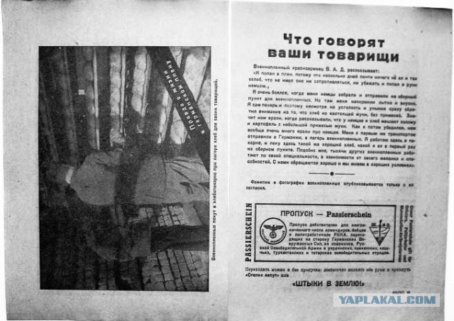 Фашисткие листовки
