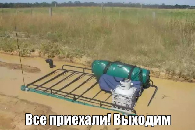 Подборка безудержного веселья