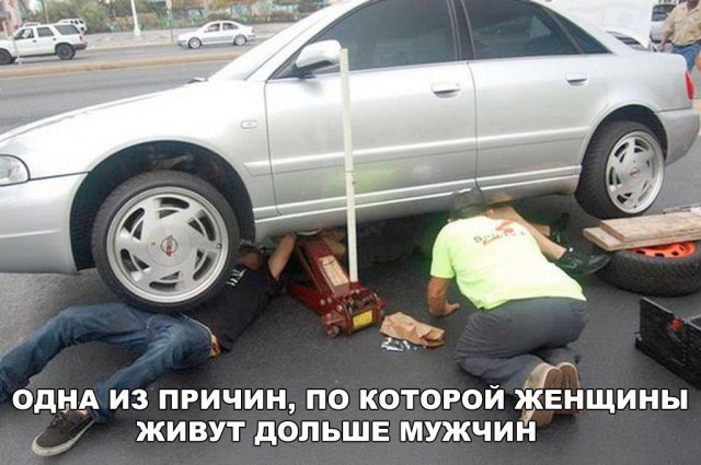 Смешные картинки