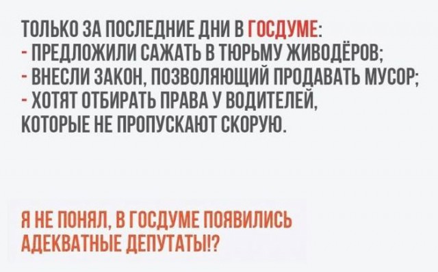 Всё в точку...