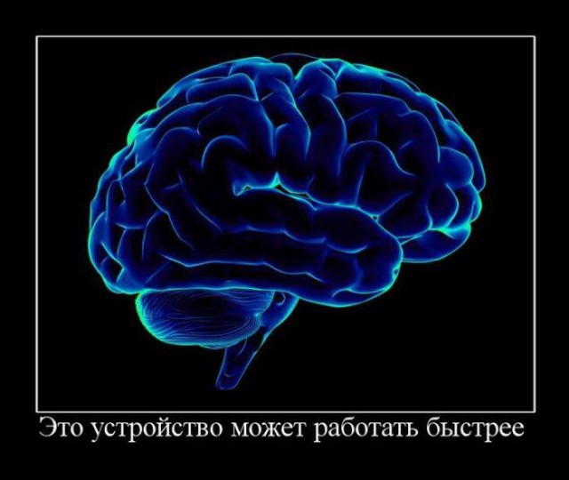 15 сенсационно-пугающих цитат Татьяны Черниговской о сюрпризах мозга