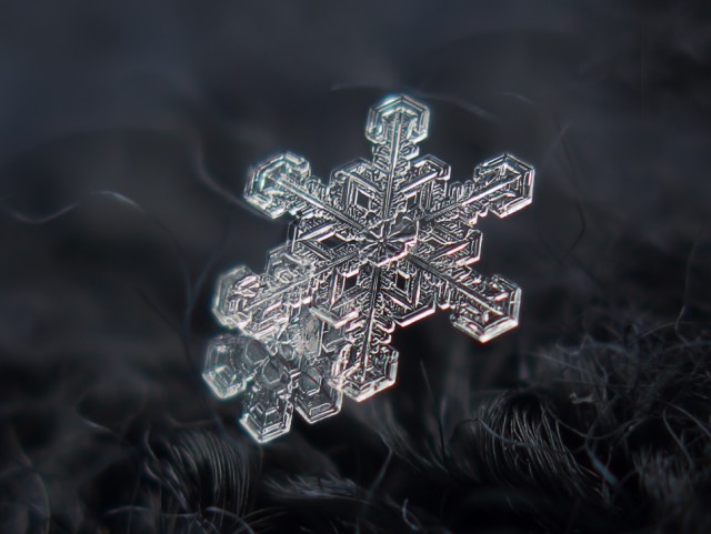 Макрофотографии снежинок, как отдельный вид прекрасного