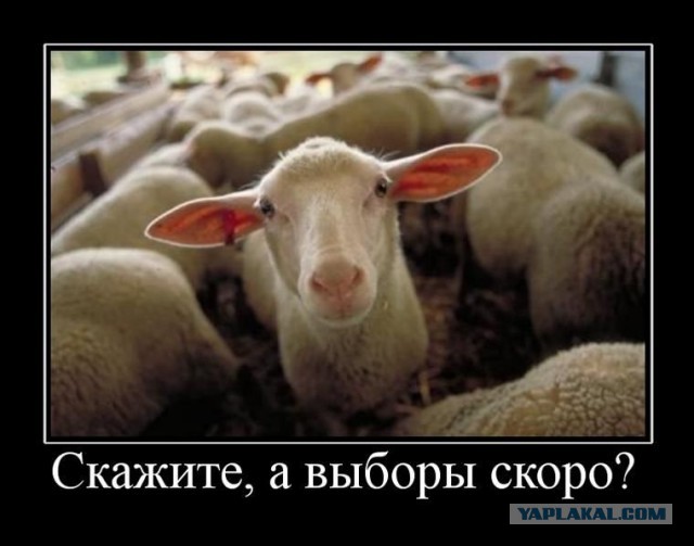 Власти не понимают, откуда берутся нищие в сытой России
