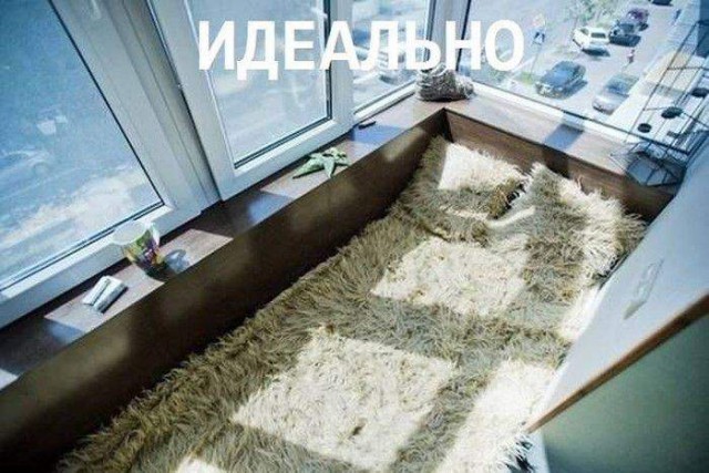 Подборка интересных и веселых картинок