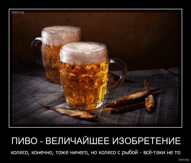 Картинки алконарко