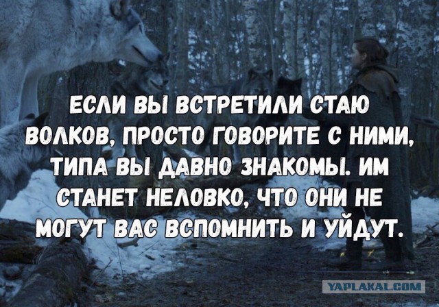 Подборка мемов об Игре Престолов