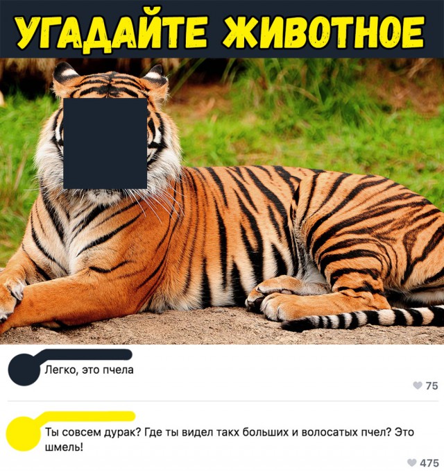 Немного смешных картинок из соцсетей на сегодня
