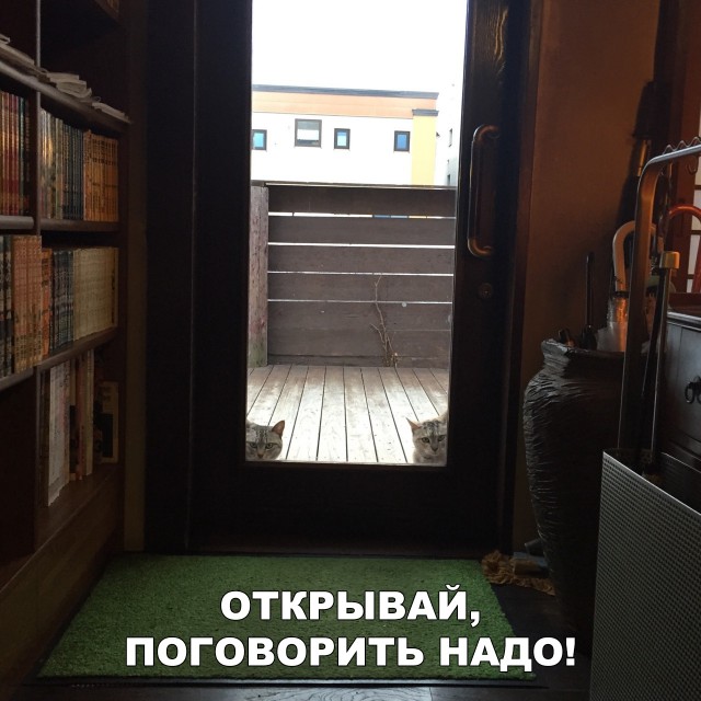 Нестандартный юмор