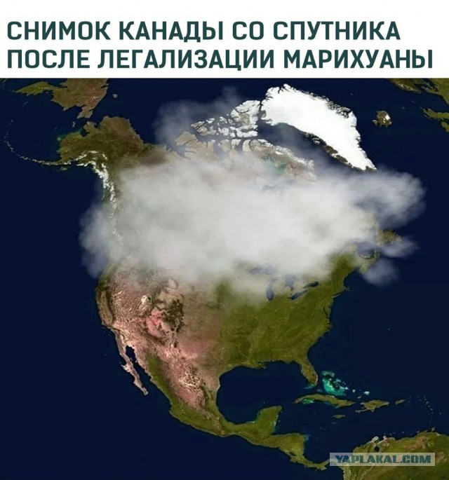 Немного картинок на вечер