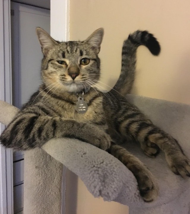 Ностальгия по радиостанции «Станция 106,8 FM»