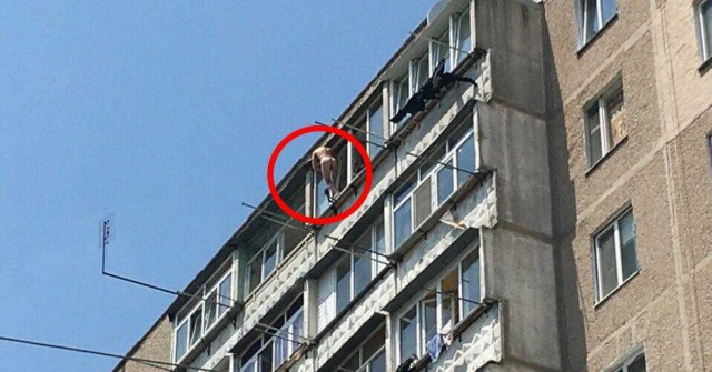 И всё-таки она наша. Лента картинок