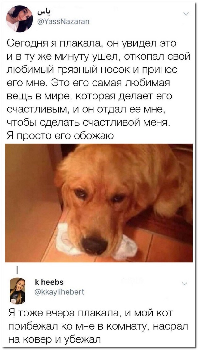 О чем говорят женщины