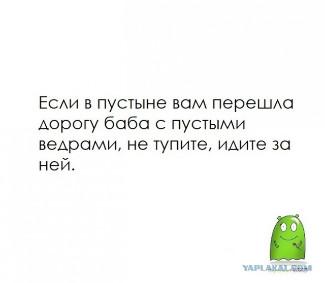 Забавные шутки, картинки и фразы из этих ваших интернетов