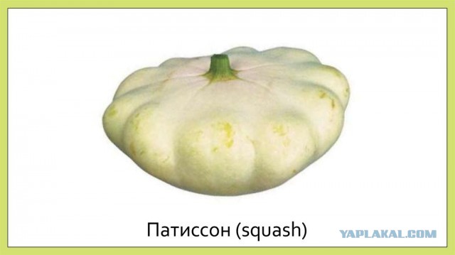 Вопрос что где когда. Гениальный ответ Алёнки