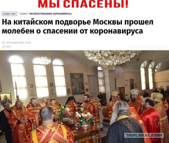 Как я представляю себе борьбу с короновирусной инфекцией в России