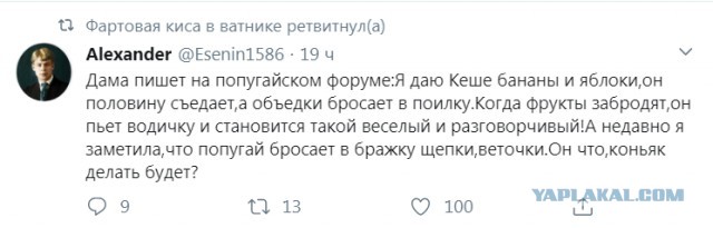 Бредзона 07.02.2020