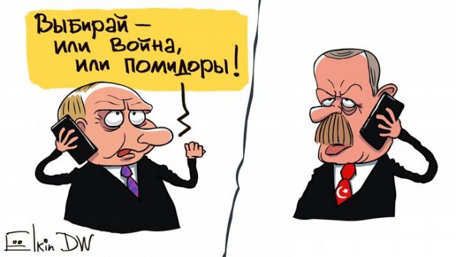 Альманах последних событий от Ёлкина (январь-февраль)