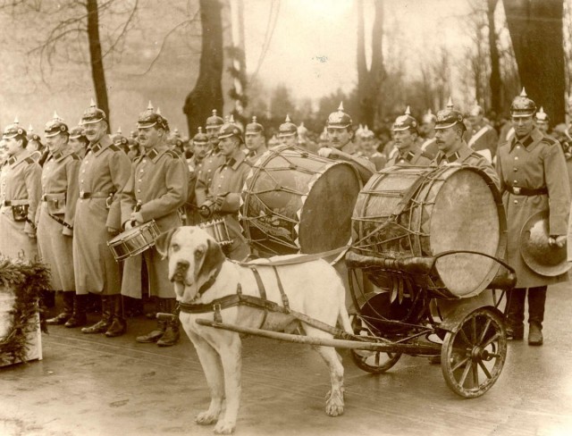 Баянисто-небаянистый юмор 15.11.20