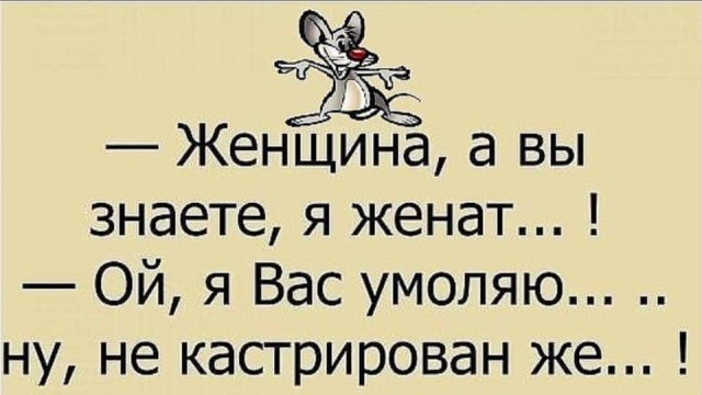 Веселые истории о нас №237