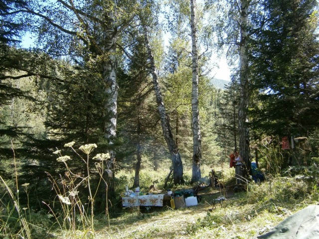 На конягах по Алтаю