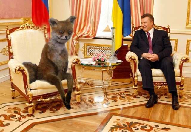 Таксидермия + наркомания